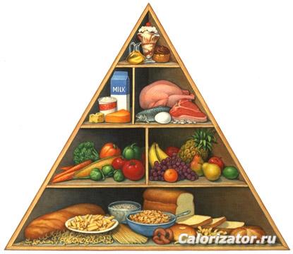 Food Pyramid is a nutrition guide for all parents
