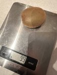 104239