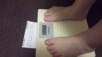 33729