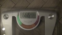 37826