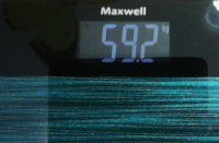39445