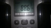 40344