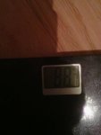 51300