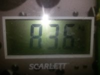 51313