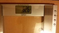 53531