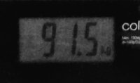 53976