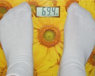 55294