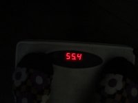 56045
