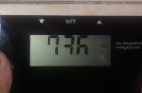 59537