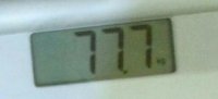 65064