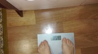 66238