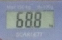 66647