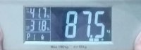 66683