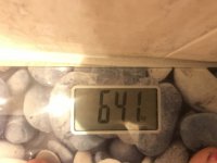 69511