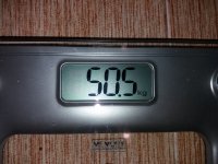 70373