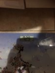 71004