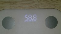 72733
