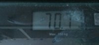 73229