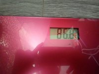 73388