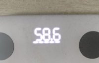 74451