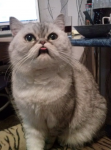 76776