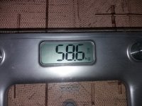 77298