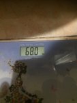 77522