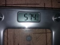 77881