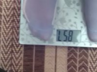 78135