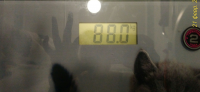 80425
