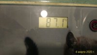 80871