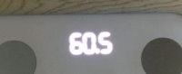 83081