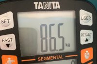 85393