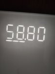 88295
