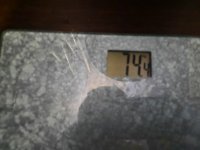 99560
