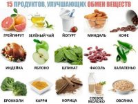 Продукты и обмен веществ