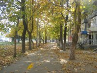 Николаев. Осень в городе.