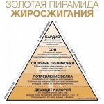 Пирамида жиросжигания
