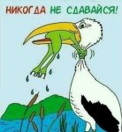 никогда не сдавайся