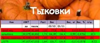 тыквы