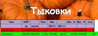 тыквы