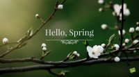 Hello-Spring-quote-on-picture-with-white-flowers