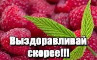 выздоравливай1