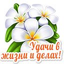 Аватара пользователя
