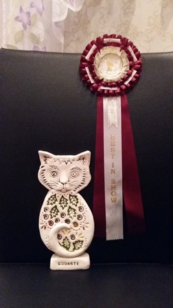 20160322_215614.jpg