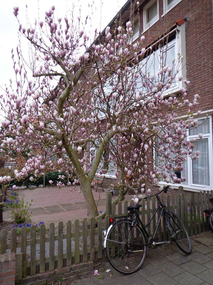 DSC00411.JPG