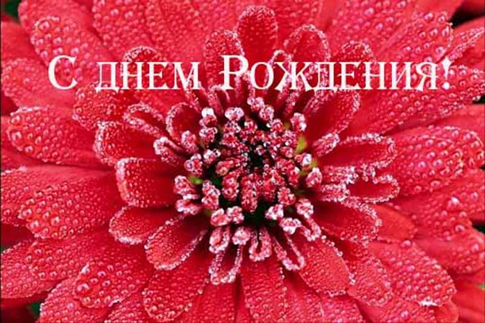 47273758_Den_rozhdeniya_08.jpg