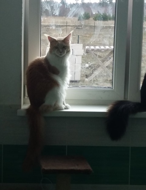20160409_153212.jpg