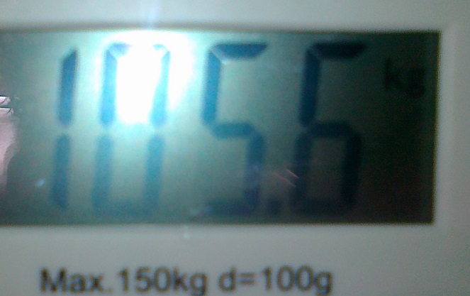 11042016943.jpg