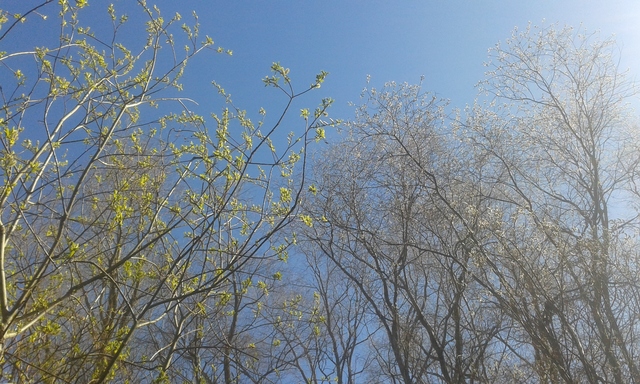 654812.jpg